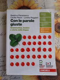 9788808420671 Con le parole giuste - Grammatica