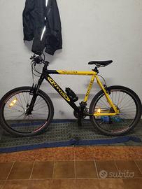 Bicicletta Dynamic