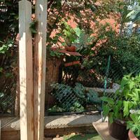 travi di legno lamellare 