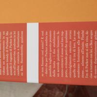 Romanzo "Una passione inaspettata"