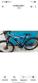 ebike whistle motore bosch performance cx