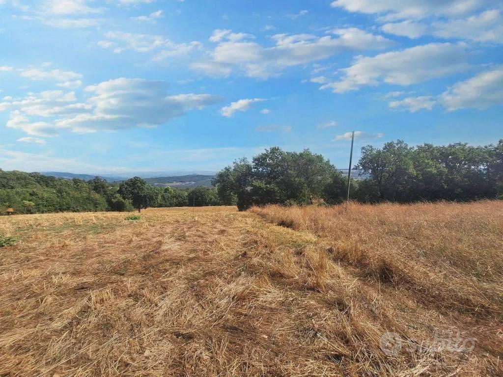 Immobile in asta di 16930 m² a Todi - Vista 3