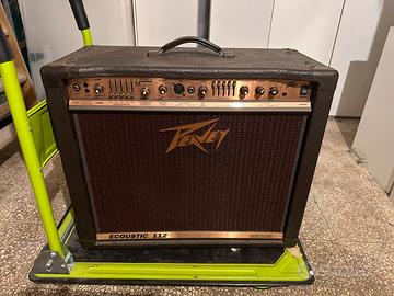 Peavey ecoustic