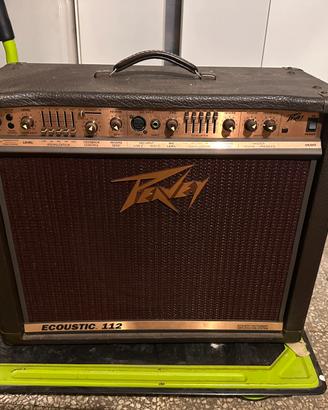Peavey ecoustic