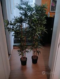 Due piante finte Ikea