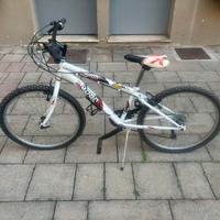 Mountain Bike RedMoon 190