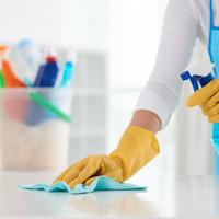 Pulizie / lavori domestici