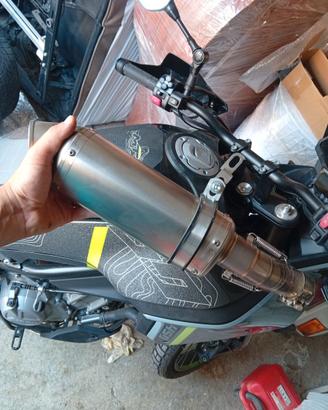 Terminale di scarico MT 450 CF moto