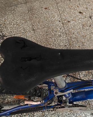 Mountain bike Legnano 24"