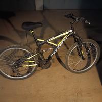 Mountain bike