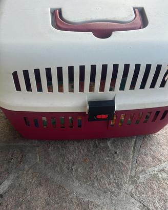 Trasportino animali