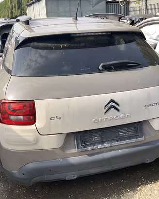 POSTERIORE CITROEN C4 CACTUS 2014-2018