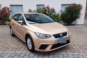 Seat Ibiza Style