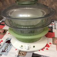 Vaporiera Tefal Steam Cuisine