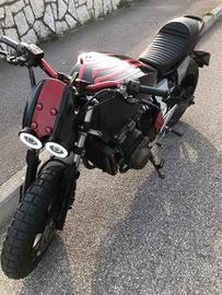Il suo nome è Arrogante e... lo è davvero!!! 🤟🏻