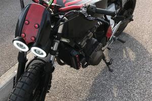 Il suo nome è Arrogante e... lo è davvero!!! 🤟🏻