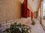 Immagine 5