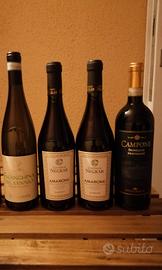 Vino Amarone falanghina Brunello Montalcino