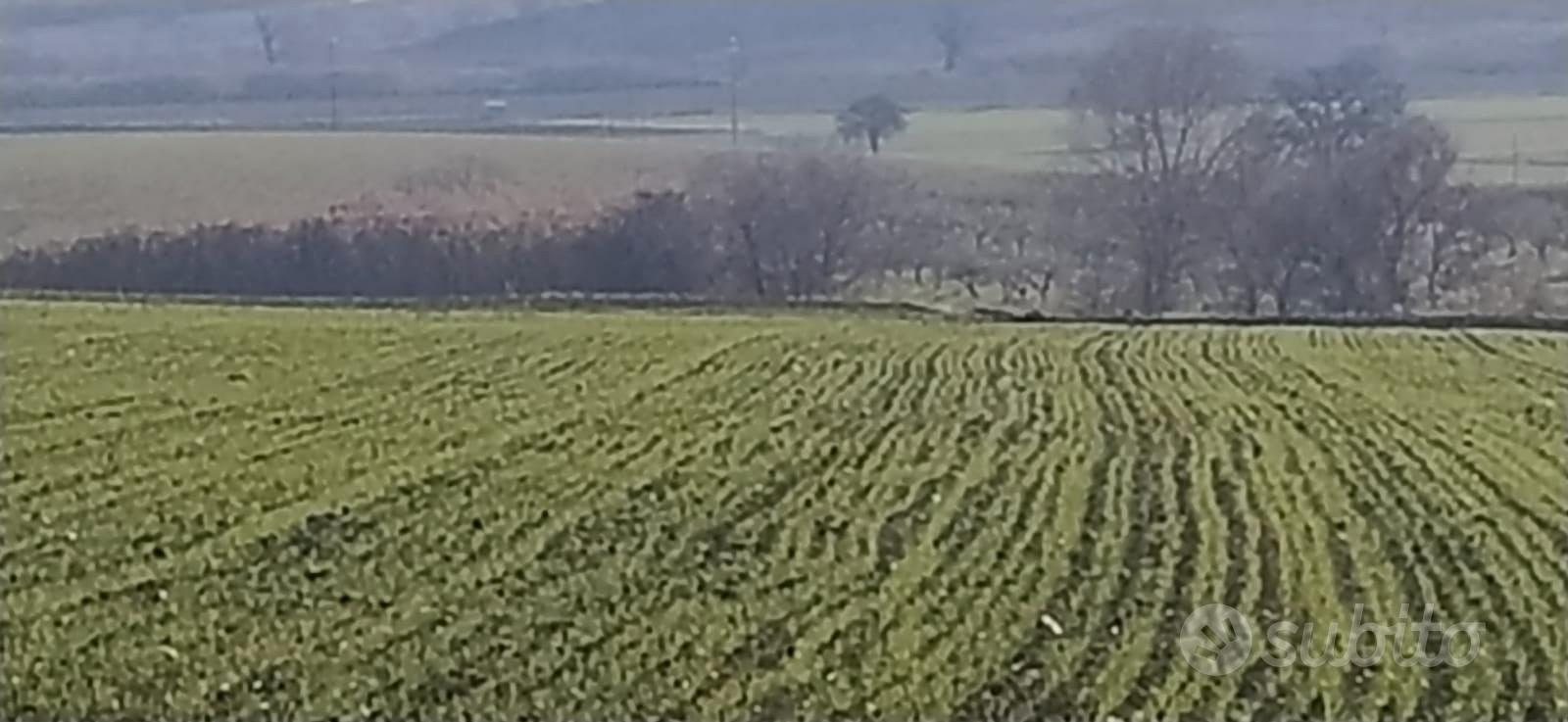 Terreno Agricolo Irriguo Colle Granata - Termoli - Vista 3