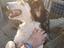 Immagine 3