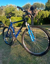 MTB cannondale