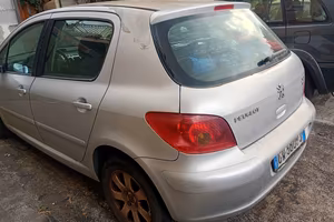  Peugeot 307