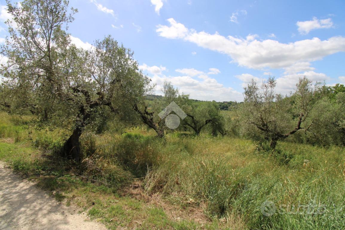 TER. AGRICOLO A MONTOPOLI DI SABINA - Vista 6