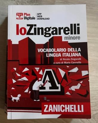 Vocabolario Lingua Italiana Zanichelli 