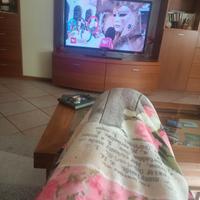 TV samsung