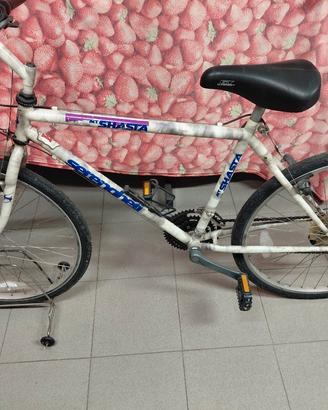 montainbike 
