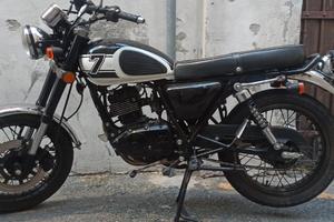 Mash Seventy Five 125 - 2016