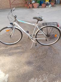 bici da passeggio 
