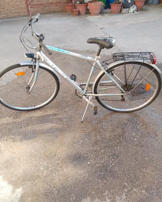 bici da passeggio 