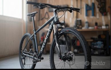 Mtb uomo XL specialized