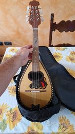 Mandolino Comet N°5