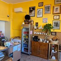 Attività a Mandello del Lario