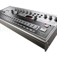 ROLAND TR 06