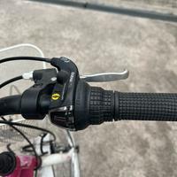 Bici Lombardo Camilla 24"