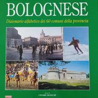 Emilia Romagna vol. 1-2, Marche e Bologna