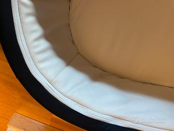 Navicella cybex  melio