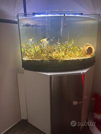 Acquario 120lt