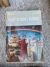 libro "Pagine di critica dantesca"