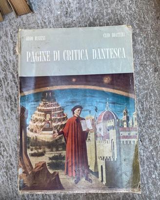 libro "Pagine di critica dantesca"