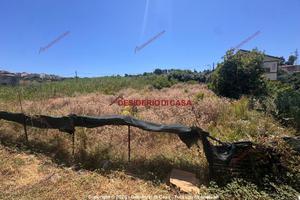 Terreno, Campofelice di Roccella.