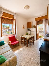 Aritzo appartamento con vista