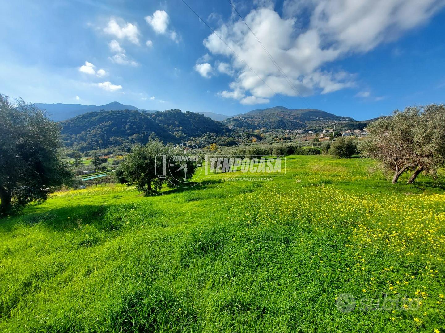 TERRENO DI UN ETTARO CON RUDERE A PATTI. - Vista 5