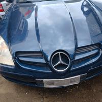 Ricambi usati Mercedes SLK R171 2007