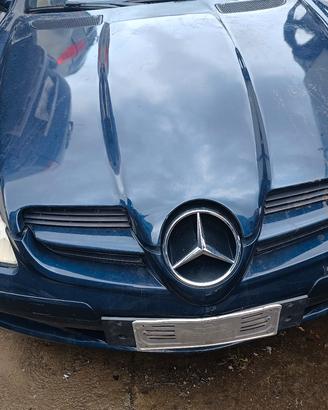 Ricambi usati Mercedes SLK R171 2007