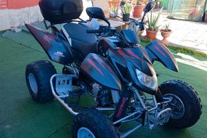 quad access motor 250sp