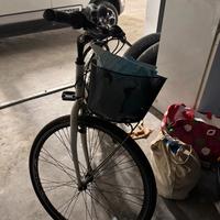 Bicicletta Adriatica